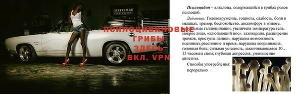 ешки Бородино