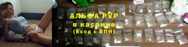 крисы Бронницы