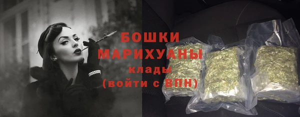 крисы Бронницы