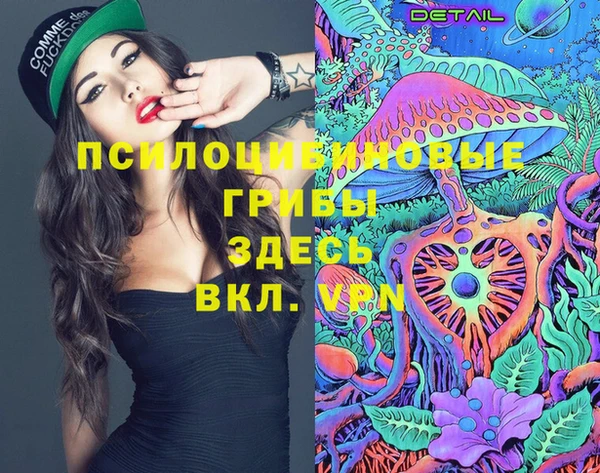 крисы Бронницы