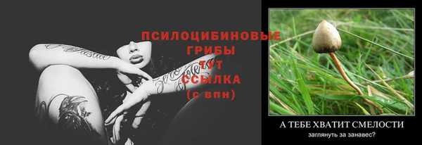 крисы Бронницы