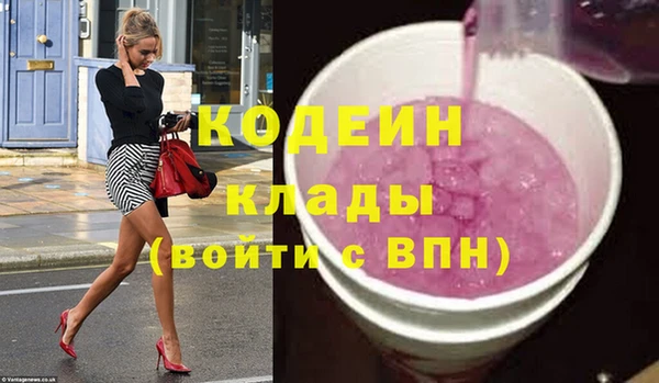 ешки Бородино