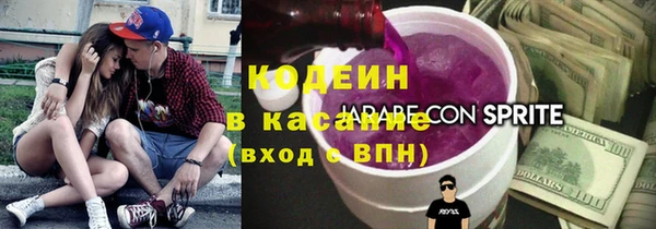 ешки Бородино