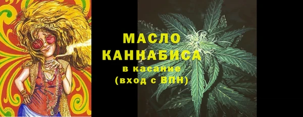ешки Бородино